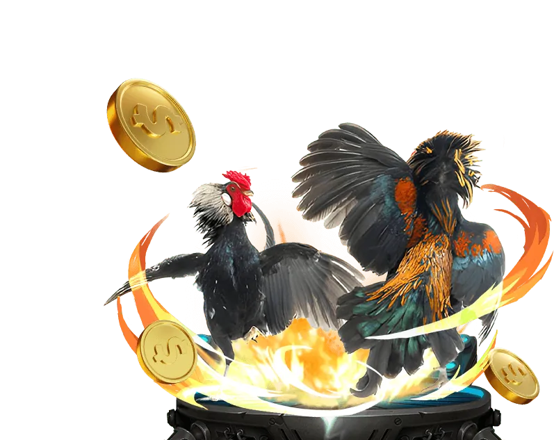 Hình ảnh minh họa hướng dẫn cá cược 68win12 cho người mới bắt đầu